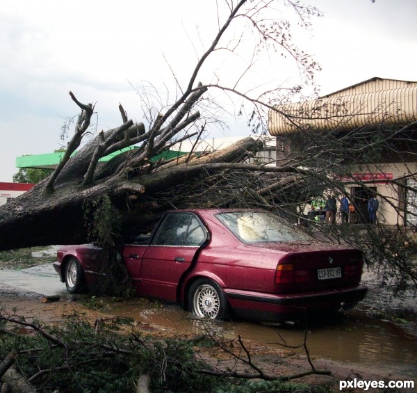 Nature Fights Back... Hard!